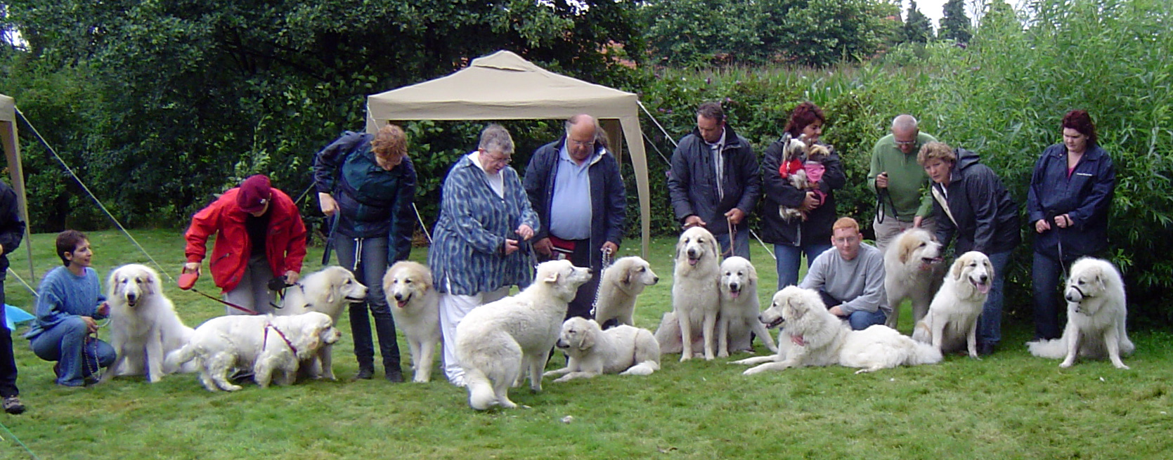 Wandeling en BBQ Budel 2007